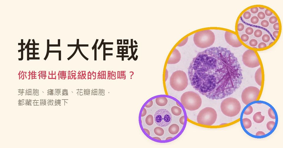 推片大作戰